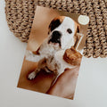 Foto 10x15