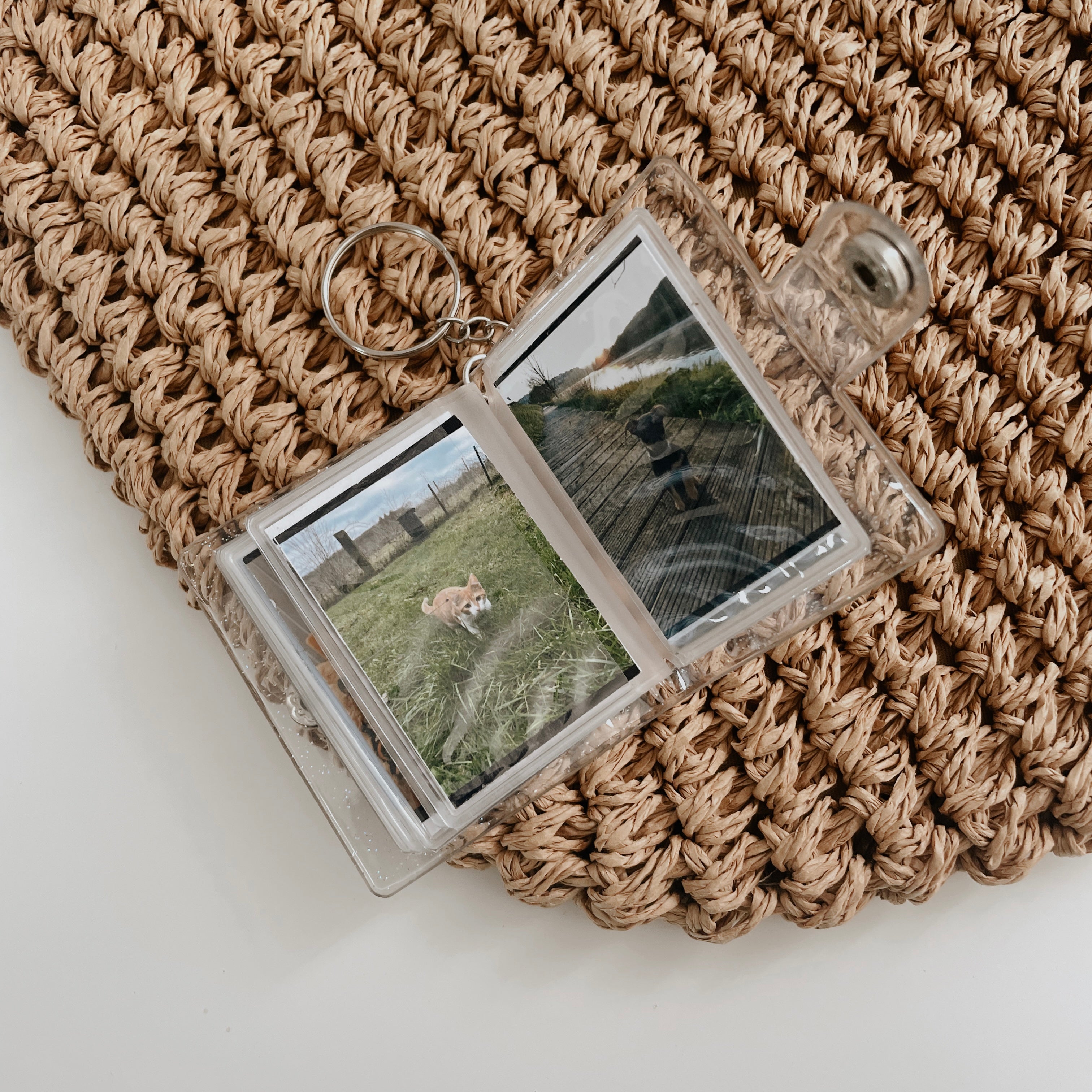 Mini álbum com 16 fotos