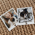 Polaroid simbólica