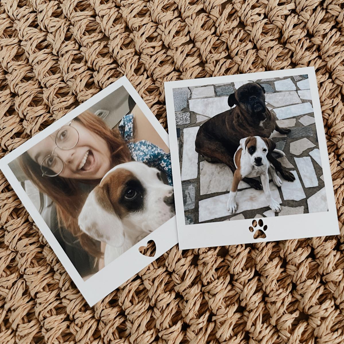 Polaroid simbólica